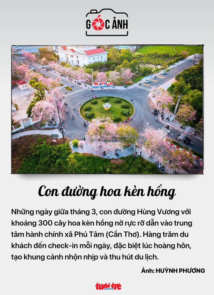 tin tức - Ảnh 8.