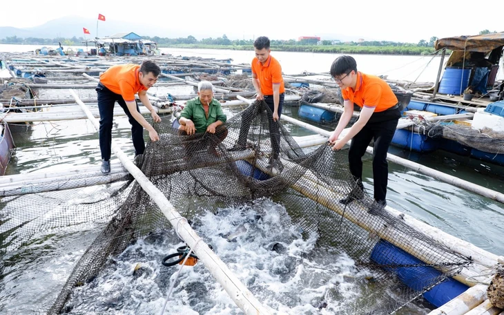 Bài học thúc đẩy tài chính xanh từ Trung Quốc và Singapore - Ảnh 4.