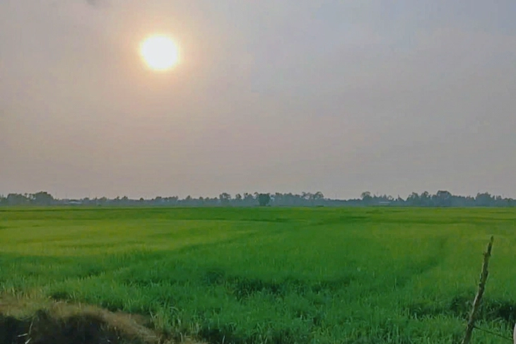 Xuân Thới Sơn - Ảnh 3.