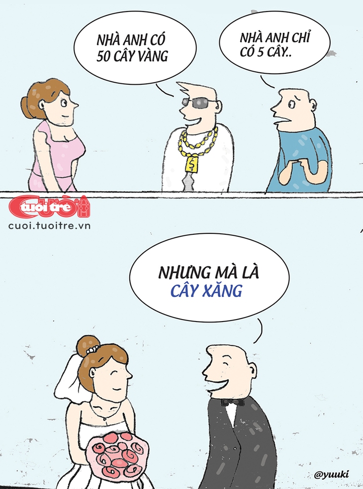 cây vàng - Ảnh 1.