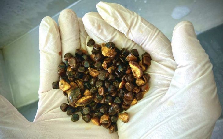 Cõi mạng rộ trend hóa thân thành... anh trai đổ xăng - Ảnh 3.