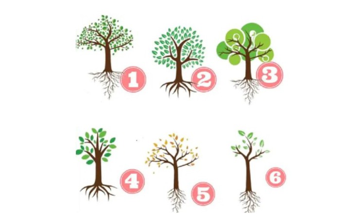 Quiz: Bạn là người cởi mở, hướng ngoại? - Ảnh 3.