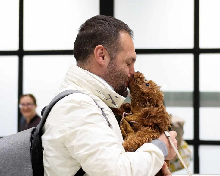 Thú cưng - Ảnh 3.