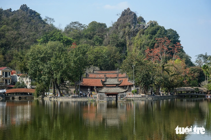 hoa gạo - Ảnh 2.