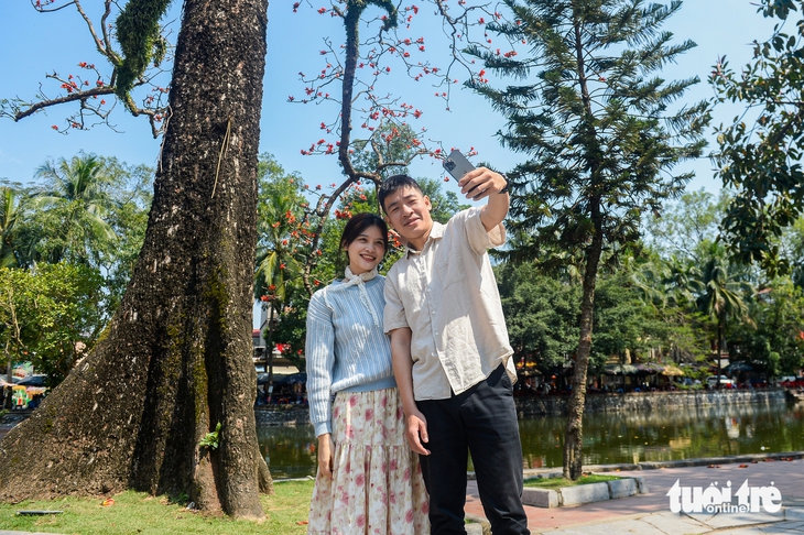 hoa gạo - Ảnh 4.