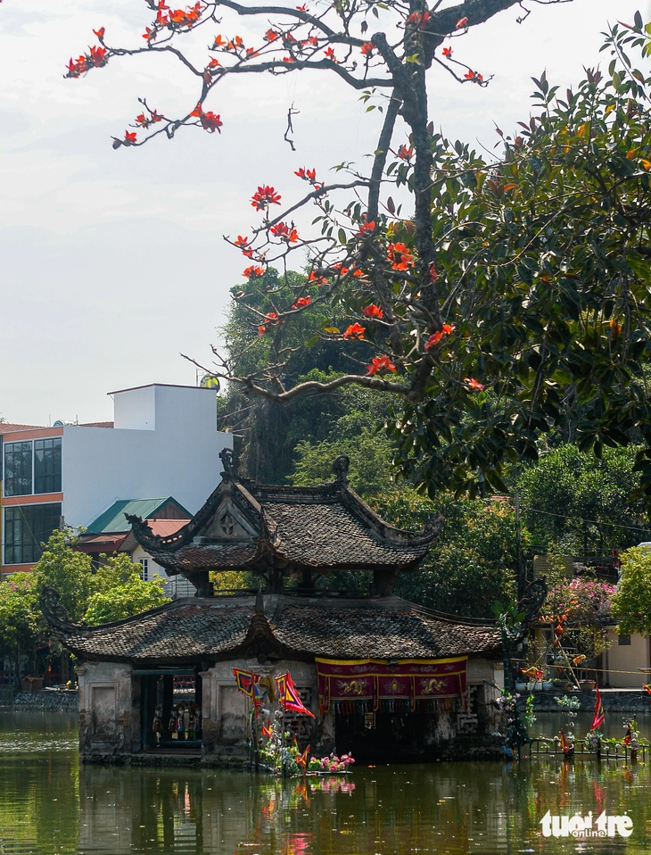 Du khách mê mẩn sắc đỏ hoa gạo khi ghé thăm Hà Nội tháng 3 - Ảnh 5.