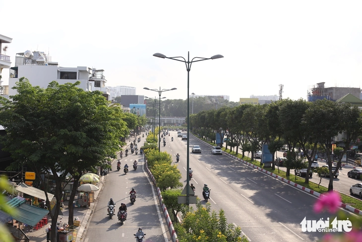 hoa huỳnh liên - Ảnh 5.