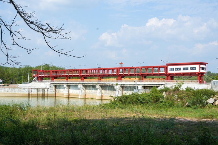 Dầu Tiếng - Ảnh 7.