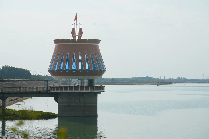 Dầu Tiếng - Ảnh 8.