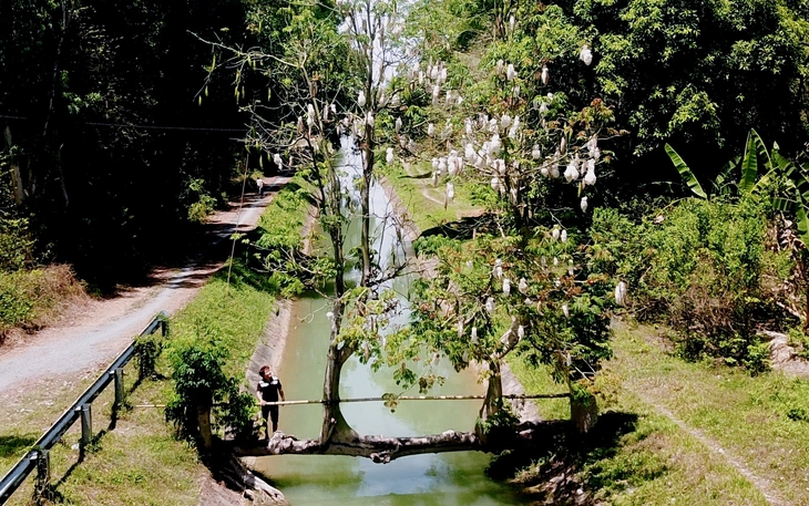 Hàng trăm người 'săn' hoàng hôn bên đồng cỏ thơ mộng tại làng đại học - Ảnh 14.