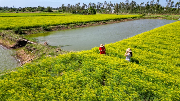 Nhiều bạn trẻ rủ nhau check-in 'vườn hoa hiếm' ở miền Tây - Ảnh 3.