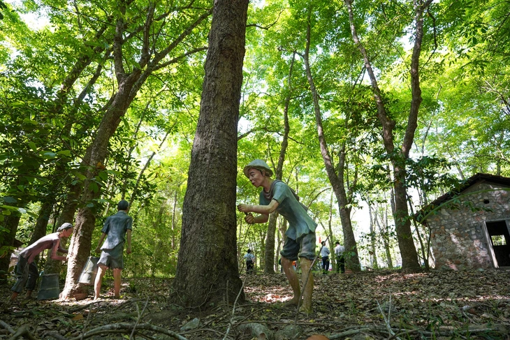 Khảo sát các tuyến, điểm du lịch tại xã Dầu Tiếng - Ảnh 3.