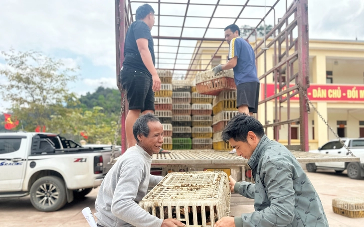 Người dân Bình Định bất ngờ vì vừa được nhận gà giống lại còn được tặng thêm thức ăn - Ảnh 10.