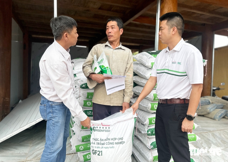 Tâm lũ Mỹ Lý ngày trở lại: Đàn gà giống gây dựng cuộc sống no ấm - Ảnh 8.