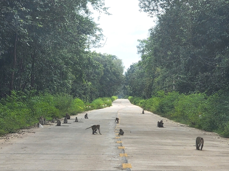 Đề xuất gần 2.900 tỉ đồng làm đường 42km tăng kết nối cho cửa khẩu Tân Nam - Ảnh 2.