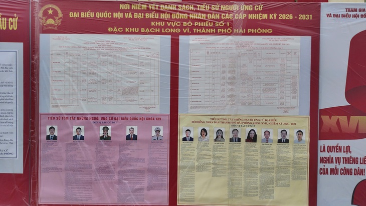 bạch long vĩ - Ảnh 3.