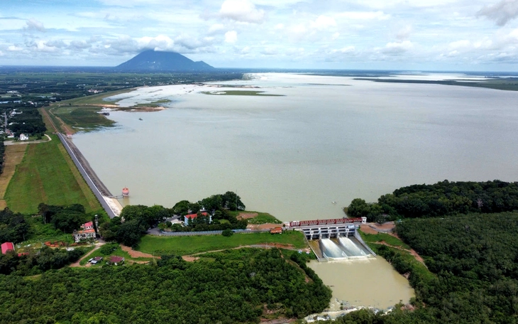 Nước sông Vàm Cỏ Đông 'đến hẹn' lại đen, địa phương nói gì ? - Ảnh 4.