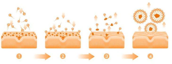 dầu tẩy trang - Ảnh 2.