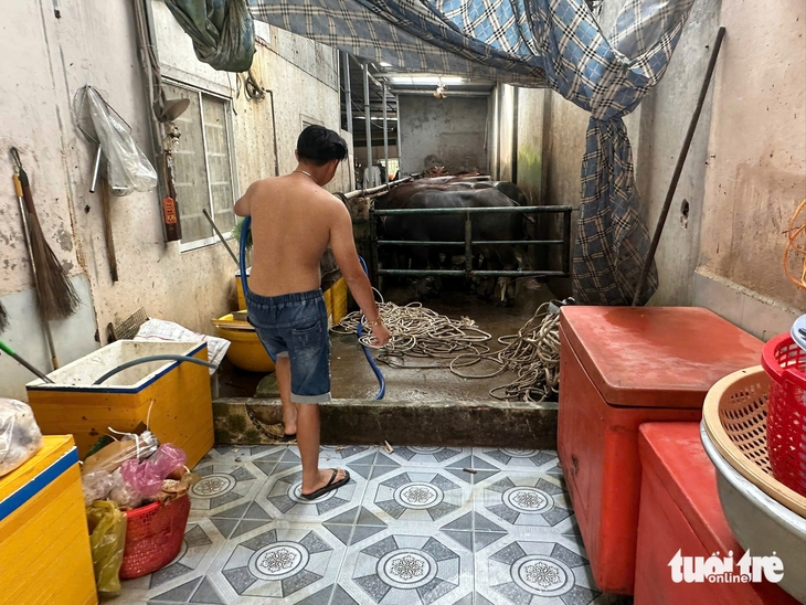 ô nhiễm - Ảnh 2.