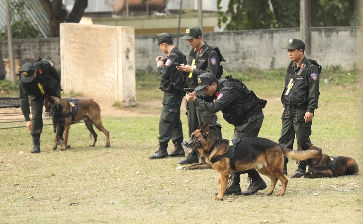 bầu cử - Ảnh 10.