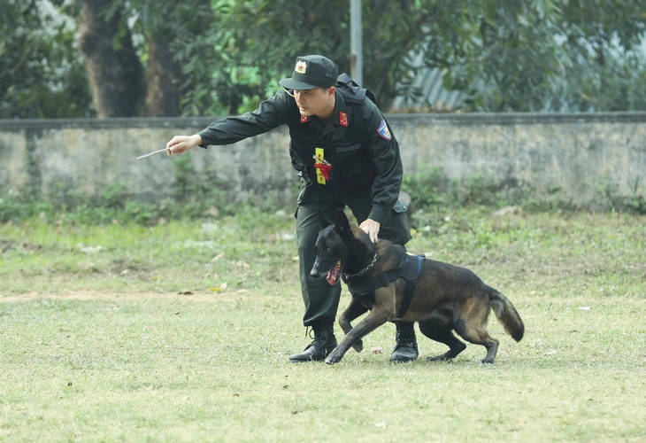 bầu cử - Ảnh 9.