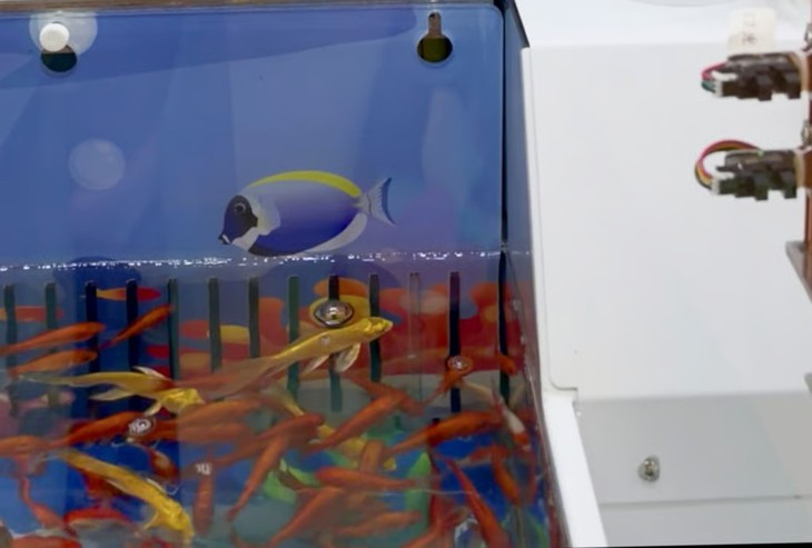 Bỏ chuột hamster sống vào máy gắp thú để câu khách, cửa hàng Trung Quốc bị phản ứng dữ dội - Ảnh 2.