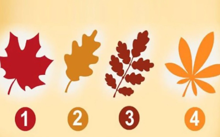 Quiz: Thông điệp nào quan trọng nhất với bạn lúc này? - Ảnh 2.