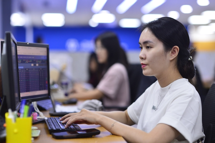 nhà đầu tư - Ảnh 1.