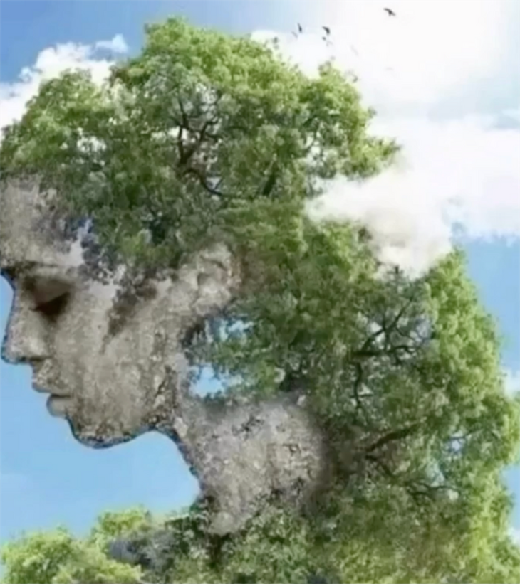 Quiz: Ảo ảnh tiết lộ bạn thiếu tự tin hay sống rất kỷ luật? - Ảnh 1.