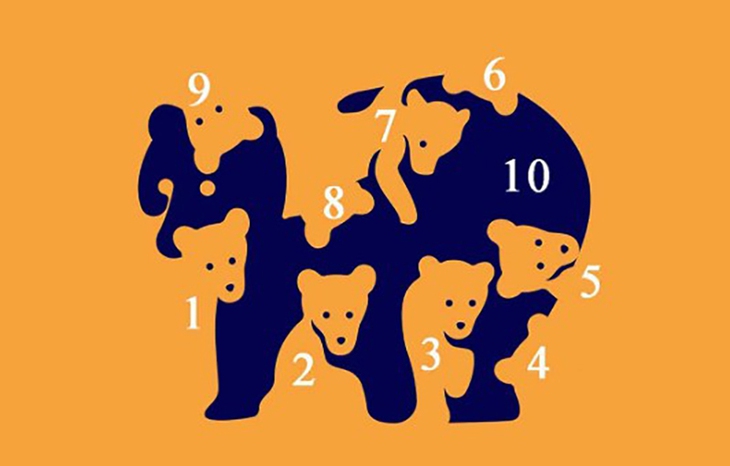 đôi mắt - Ảnh 2.