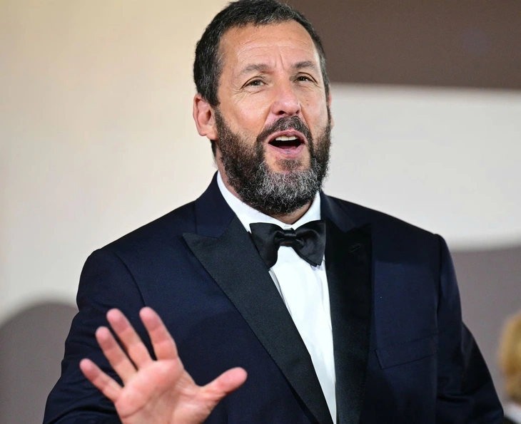 Hollywood - Ảnh 1.