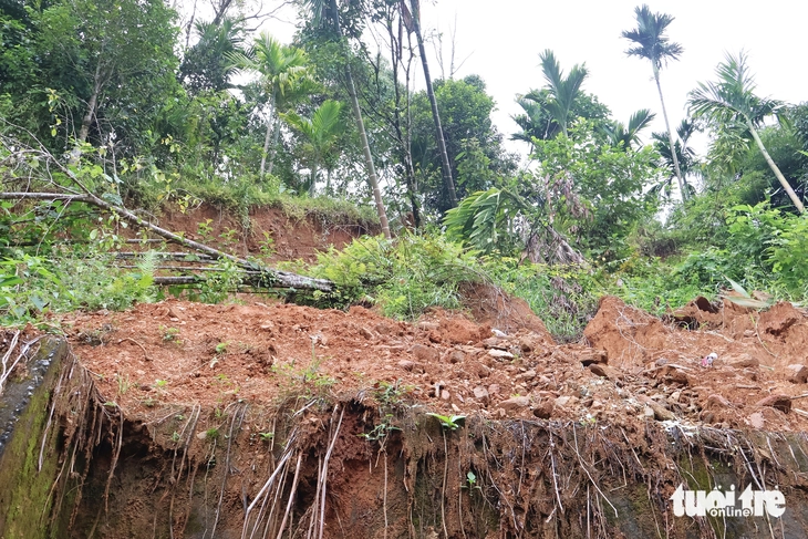 Trà Leng - Ảnh 3.