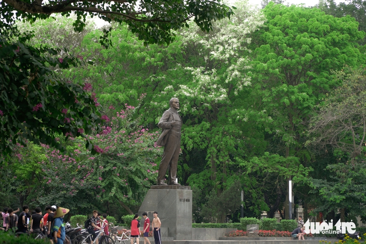 Cây hoa sưa bung nở đẹp nhất Hà Nội hút khách check-in - Ảnh 8.