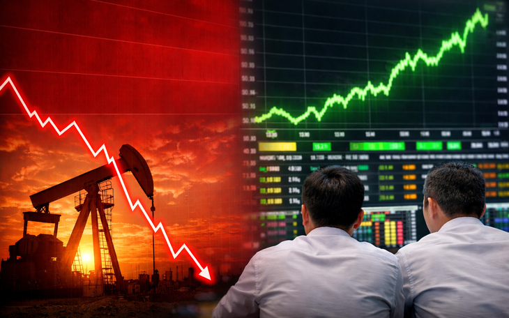 Cổ phiếu Hóa chất Đức Giang bị bán tháo, nhóm chứng khoán bất ngờ bùng nổ - Ảnh 3.