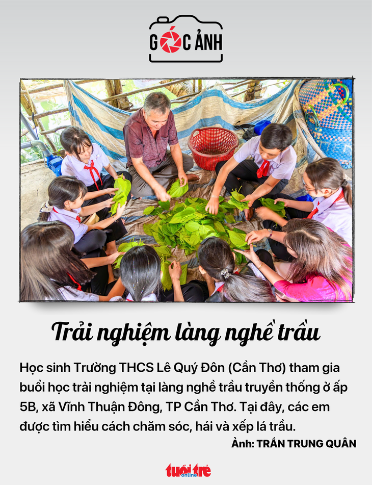 tin tức - Ảnh 6.