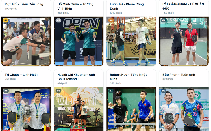 Pickleball Việt Nam - Ảnh 1.