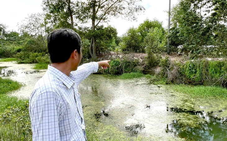 Mùi hôi từ trại heo tra tấn người dân, cơ quan chức năng vào cuộc - Ảnh 5.