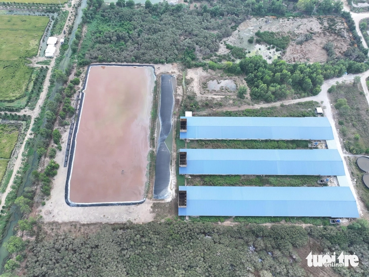 xả thải - Ảnh 3.