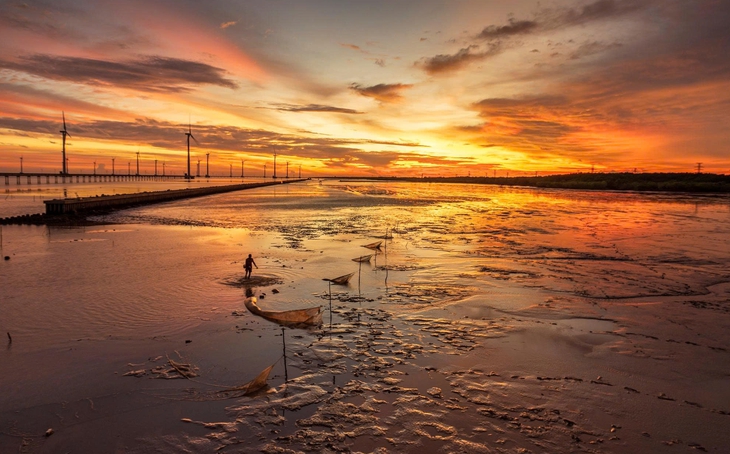 Lâm Tấn Tài - Ảnh 7.