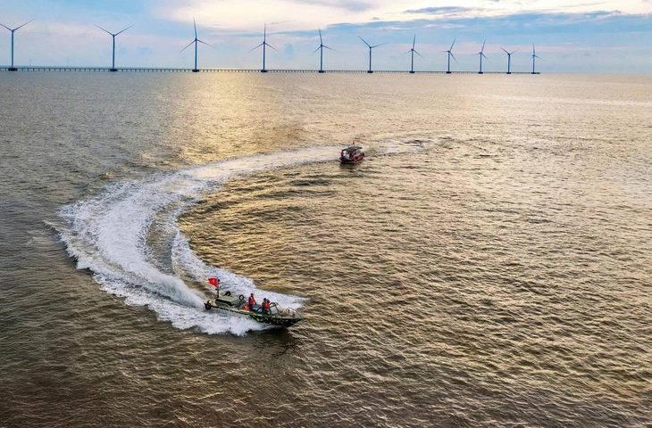 Lâm Tấn Tài - Ảnh 10.