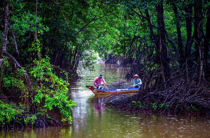 Lâm Tấn Tài - Ảnh 12.
