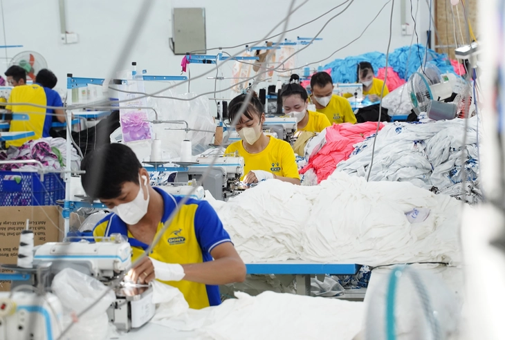 tuyển dụng - Ảnh 2.