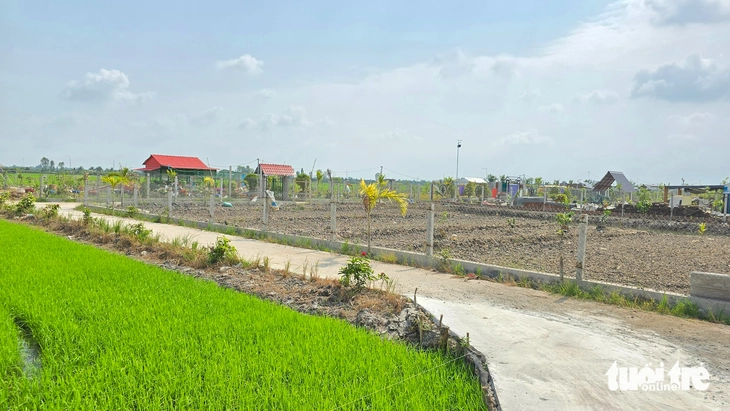 Xẻ ruộng lúa lập vườn sinh thái trái phép rồi rao bán - Ảnh 2.