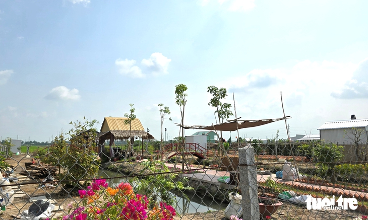 vườn sinh thái - Ảnh 4.