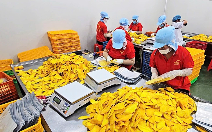 Nông dân miền Tây xoay xở với chi phí tăng - Ảnh 3.