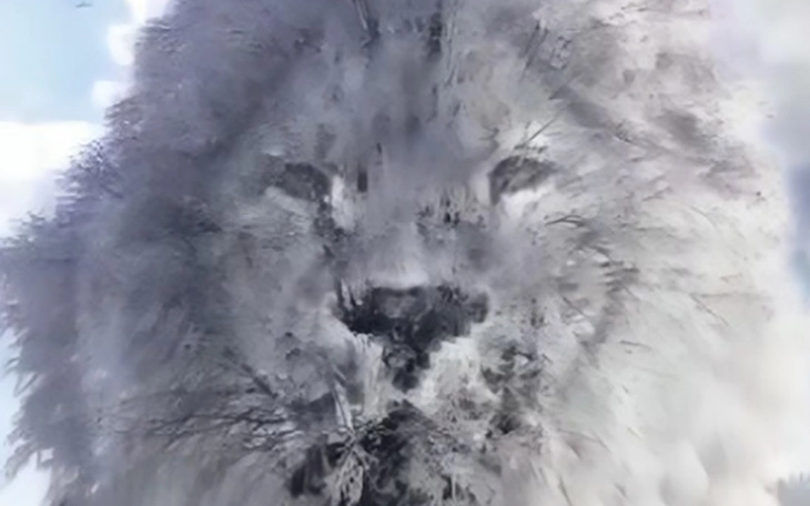 Quiz: Bạn thuộc tuýp người nào? - Ảnh 2.