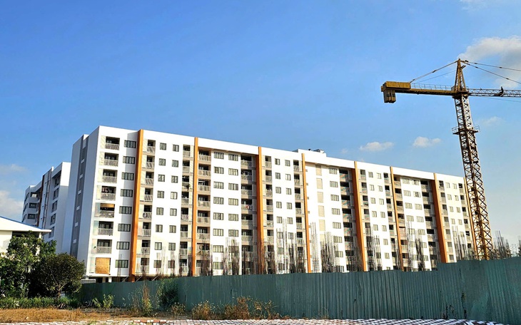 Tin tức sáng 20-3 - Ảnh 2.