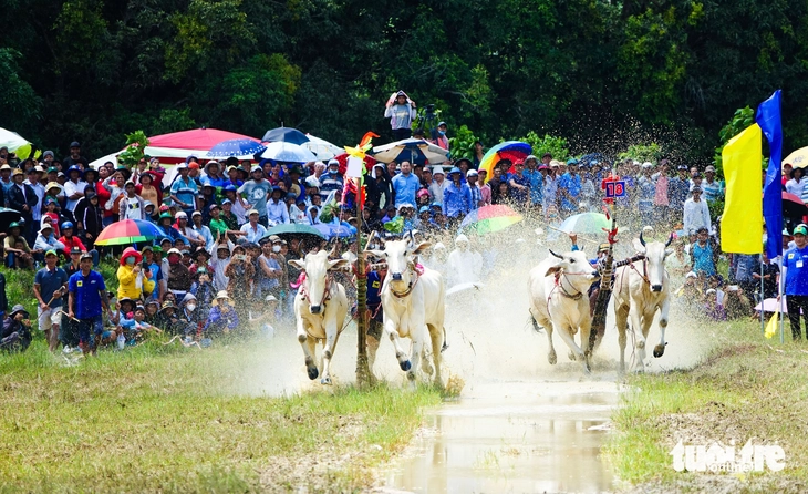 du lịch xanh - Ảnh 2.