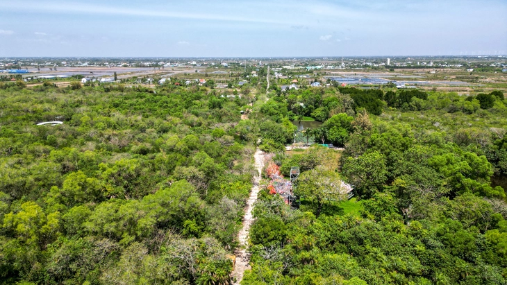 Vườn chim quý trăm năm ở Bạc Liêu hoang tàn - Ảnh 7.