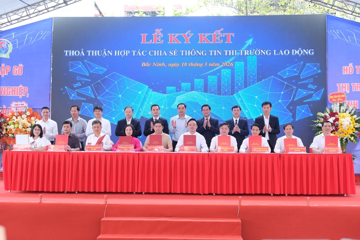 tuyển dụng - Ảnh 3.